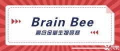 神經(jīng)科學(xué)生必選的Brain Bee腦科學(xué)大賽詳解，5-12年級(jí)均可參加