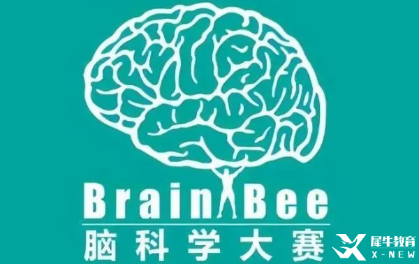 BrainBee腦科學競賽輔導|競賽時間/適合對象/參賽形式