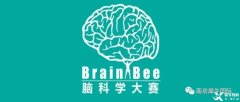 Brain Bee競(jìng)賽如何報(bào)名？地區(qū)/全國/國際賽事都考什么？