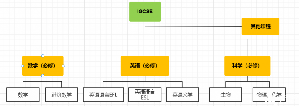 IGCSE課程全科輔導(dǎo)，銜接班/同步班/沖刺班報名中！