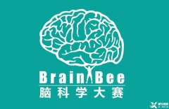 Brainbee腦科學(xué)競賽含金量高嗎？犀牛Brainbee競賽沖刺基礎(chǔ)班報名中~