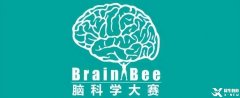 為什么Brain Bee腦科學(xué)大賽越來越受歡迎？附24年Brain Bee比賽時(shí)間