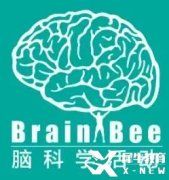 2024年Brain bee競賽報名中！Brain bee競賽輔導班介紹！