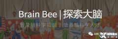 brainbee競賽有必要參加輔導嗎？brainbee腦科學培訓哪里有？