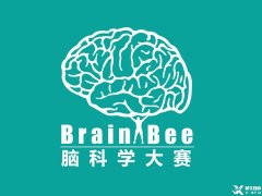 零基礎(chǔ)可以參加什么生物競賽？BrainBee腦科學(xué)培訓(xùn)輔導(dǎo)課程推薦！