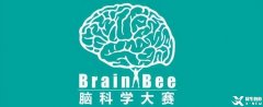 Brain Bee腦科學大賽備考須知！備考Brain Bee競賽考前輔導培訓班有嗎？