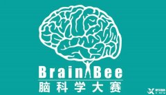 Brainbee腦科學(xué)大賽，零基礎(chǔ)居然也能參加的生物競賽！