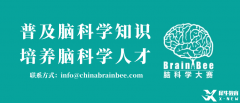 2025BrainBee腦科學(xué)大賽開始報名！BrainBee報名考試時間/報名方式/考試大綱奉上！